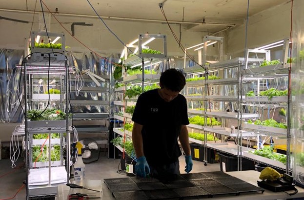 How a mechanical engineer and computer scientist became urban farmers in Montreal