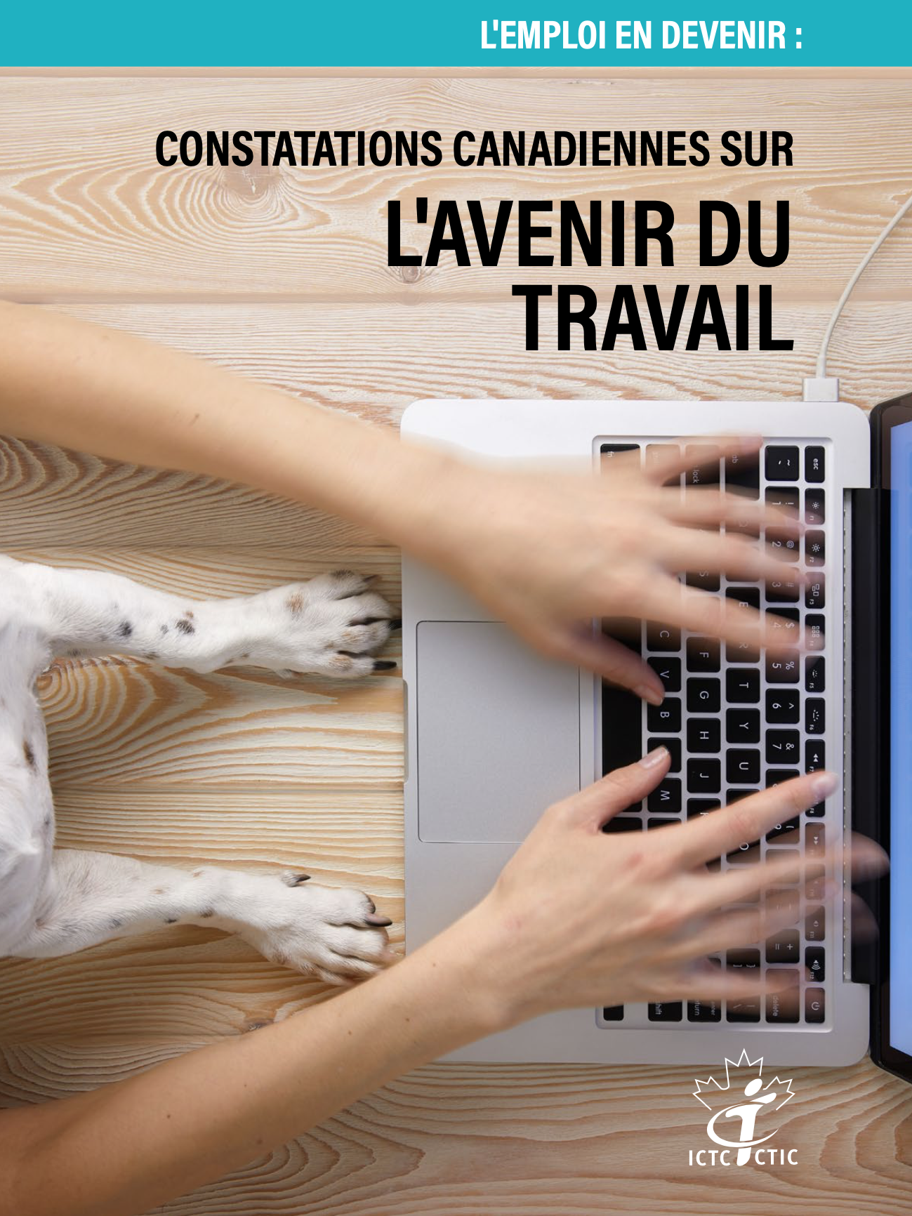 L'emploi en devenir