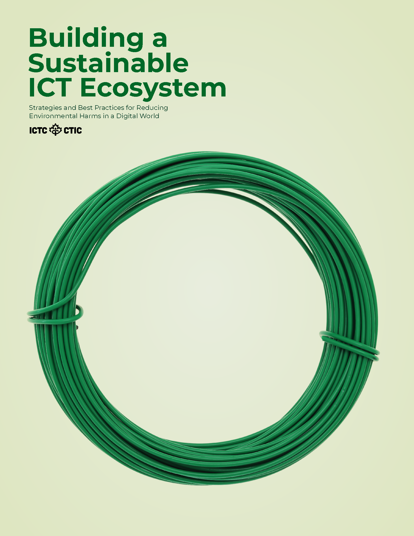 Building a Sustainable ICT Ecosystem