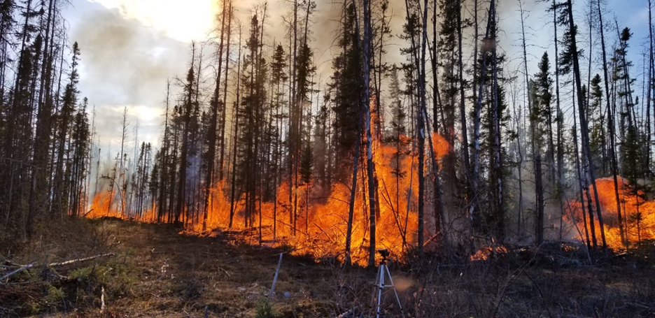 Green Tech: Fighting Wildfires with Innovation