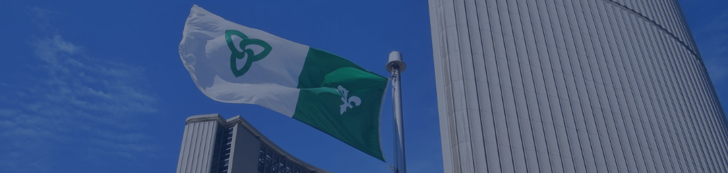 How to Leverage French Language Skills for Success