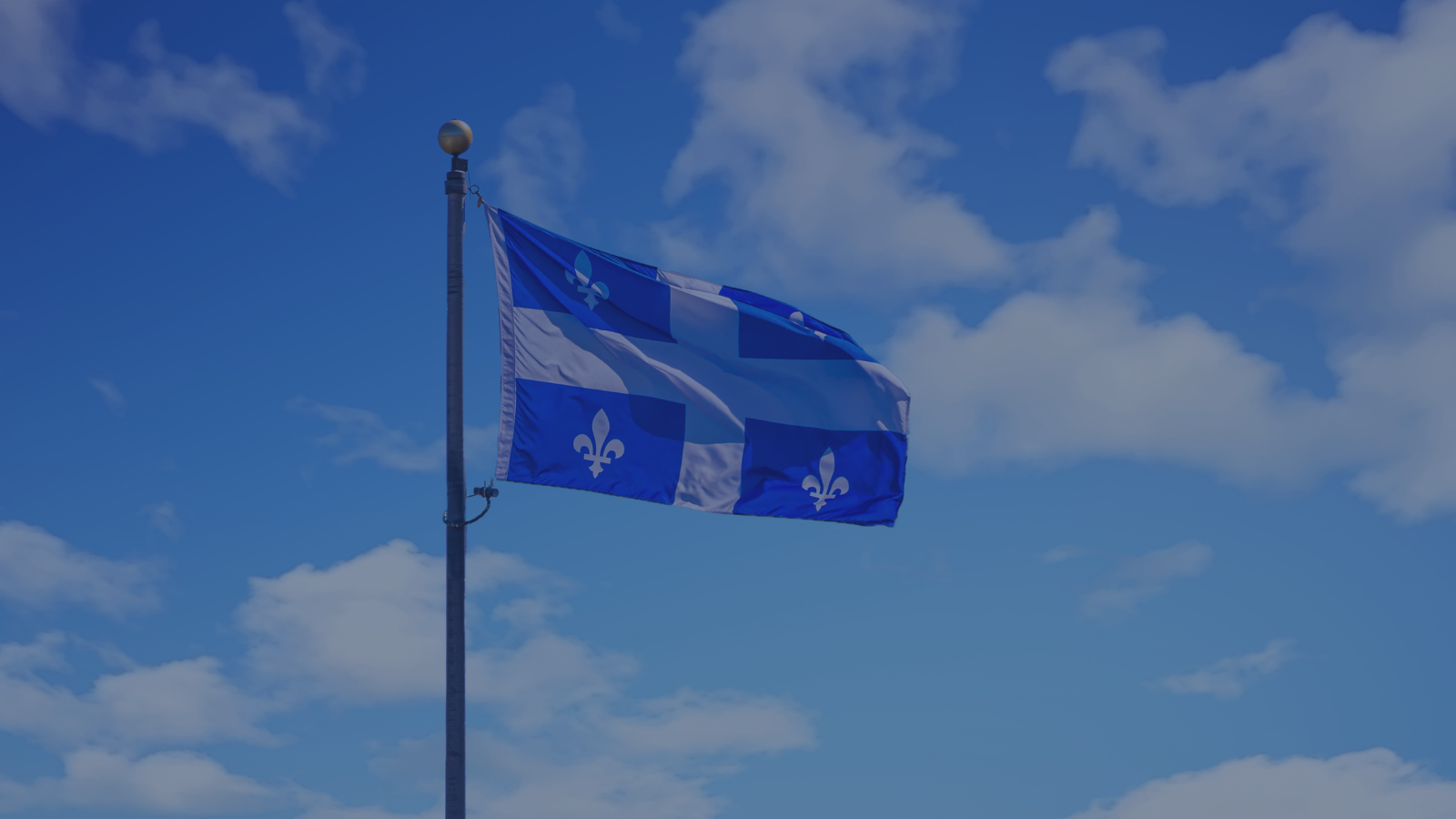 Les votes du Québec